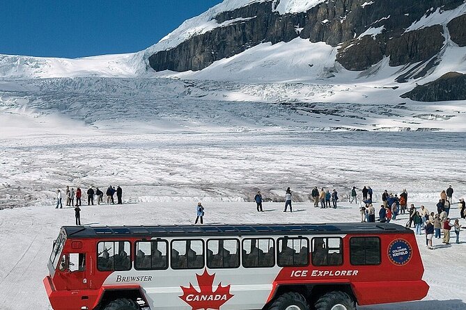 Columbia Icefield,Peyto Lake,Bow Lake Day Trip from Banff/Calgary - Discover the Highlights of the Canadian Rockies in a Single Day