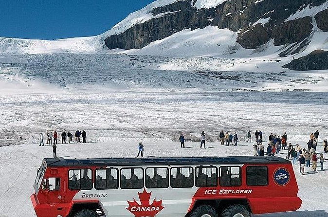 Columbia Icefield,Peyto Lake,Bow Lake Day Trip from Banff/Calgary - Peyto Lake: The Wolf-Head Shaped Glacier Lake