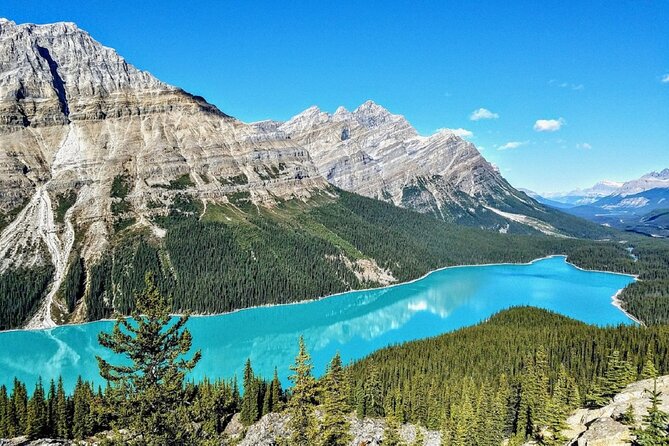 Columbia Icefield,Peyto Lake,Bow Lake Day Trip from Banff/Calgary - Bow Lake: A Calm Reflection of the Rockies