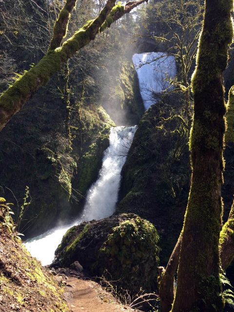 Columbia River Gorge Half-Day Small-Group Hiking Tour - The Guide’s Expertise and Engaging Style