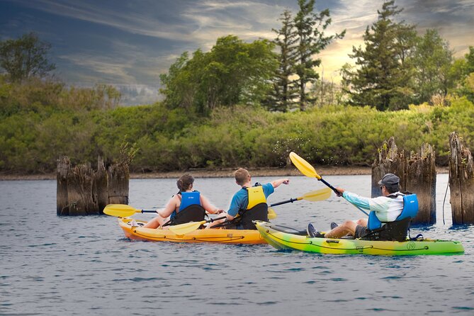 Columbia River Gorge Kayak Tour - What Sets This Tour Apart from Other Gorge Adventures