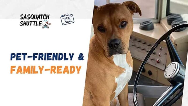 Columbia River Gorge Waterfall Shuttle Tour - Horsetail Falls and Its Rainbows