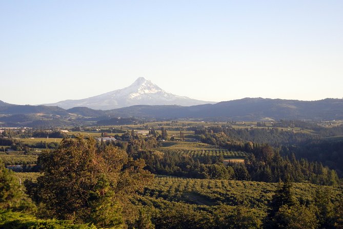 Columbia River Gorge Waterfalls & Mt Hood Tour from Portland, OR - Latourell Falls: A Waterfall with Columnar Basalt