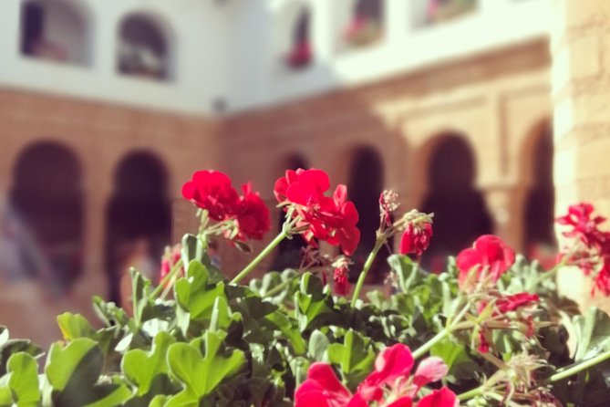 Columbian Places, behind the steps of Christopher Columbus - What Sets This Tour Apart: The Private and Curated Approach