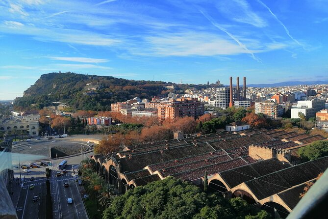 Columbus Monument Access With Barcelona Seaside Guided Tour - Crossing Rambla del Mar to Maremagnum’s Island Setting