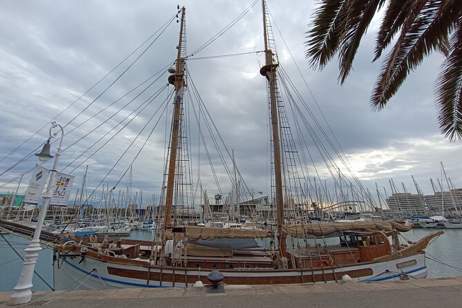 Columbus Monument Access With Barcelona Seaside Guided Tour - Practical Details and Accessibility