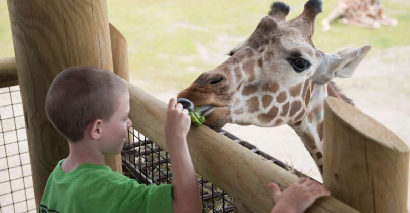 Columbus: Multiple Attractions Pass - Reflective Tribute at the National Veterans Memorial and Museum