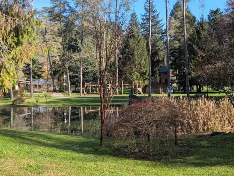 Comano Terme: Terme di Comano SPA Experience Ticket - Discover the Tranquil Wellness of Terme di Comano