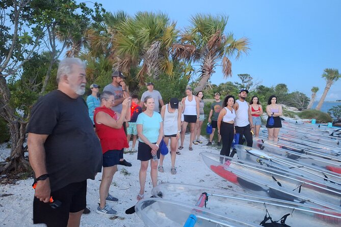Comb Jelly Bioluminescence Clear Kayak Glow Tour - Physical Activity and Accessibility