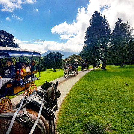 Combination Killarney Jaunting Car Tour and Lakes of Killarney Cruise - Group Size, Booking, and Accessibility