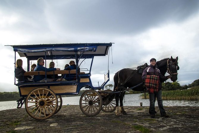 Combination Killarney Jaunting Car Tour and Lakes of Killarney Cruise - Practical Tips for Tour Participants