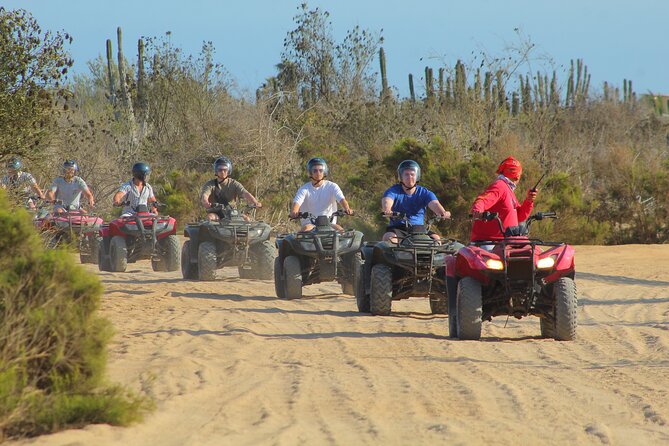 Combined ATV and Horseback Ride/Tequila Tasting - Who Will Enjoy This Tour Most?