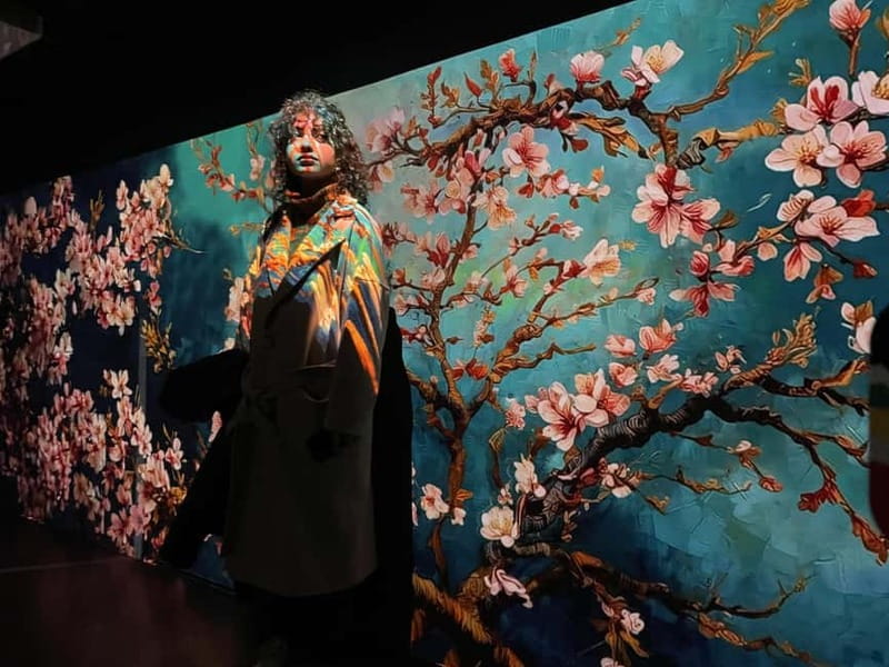 Combined ticket: Digital Exhibition & Museum of Illusions - What Not to Expect: Restrictions and Accessibility