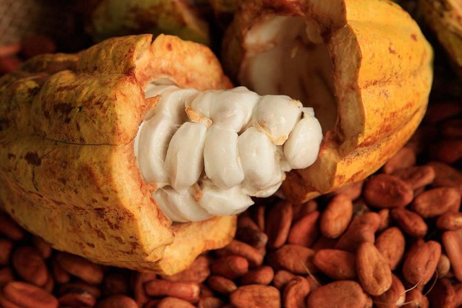 Combo 2 Caribbean Islands: Isla Mujeres, Cozumel with snorkel - Exploring Cozumel’s Largest Island