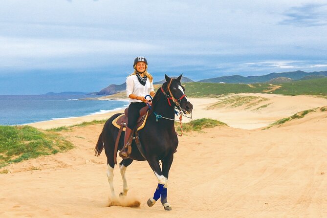 Combo 2x1 in Cabo San Lucas Horseback riding and ATV adventure - Tranquil Horseback Riding Along the Ocean