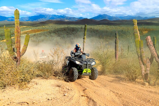 Combo 2x1 in Cabo San Lucas Horseback riding and ATV adventure - Why This Tour Appeals to Different Types of Travelers