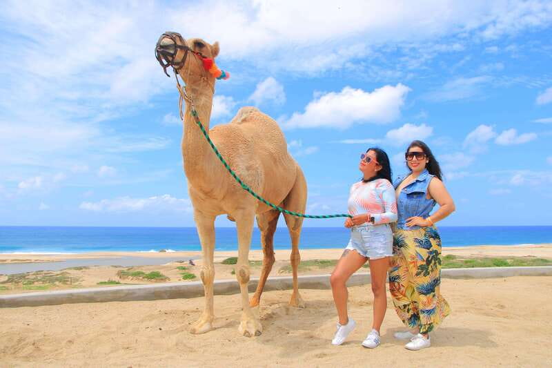 Combo 4X4 Automatic ATV & Camel Ride in Cabo by Cactus Tours - Elegant Tequila Tasting to End the Adventure
