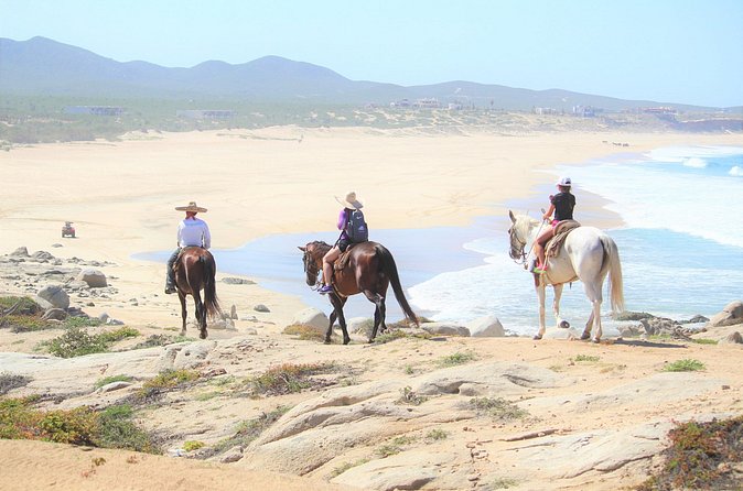 Combo Adventure with Horse, ATV or RZR and Tequila Tasting - Tequila Tasting and House Tour at the End