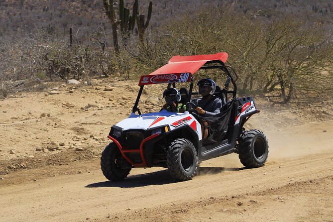 Combo Adventure with Horse, ATV or RZR and Tequila Tasting - Why This Tour Stands Out in Cabo San Lucas