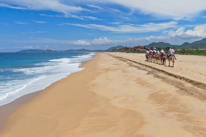 Combo ATV and Camel Ride in the Cape Desert and Buffet - Physical and Safety Requirements