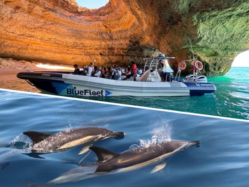 Combo: Benagil & Dolphins Boat Tour w/ Marine Biologists - Meeting Point and Booking Flexibility