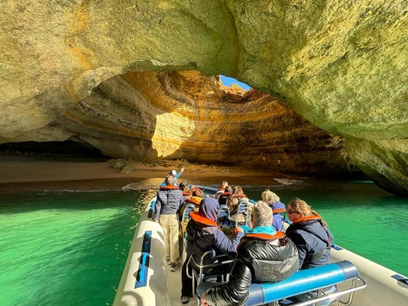 Combo: Benagil & Dolphins Boat Tour w/ Marine Biologists - What Makes This Tour Stand Out: Dolphins in Their Natural Habitat
