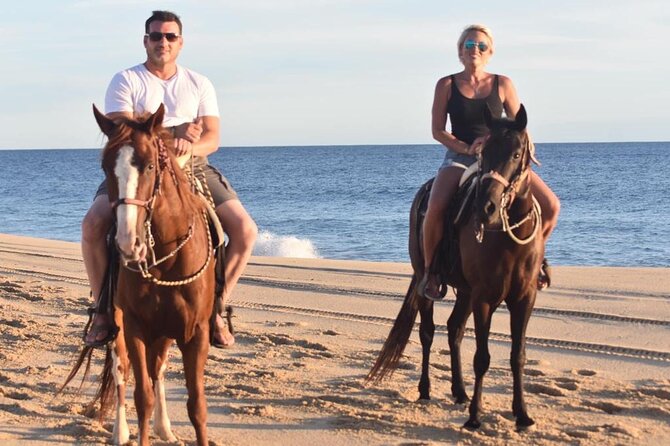 Combo Double Utv + Horses - Logistics: Transportation and Group Size