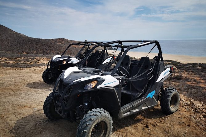 Combo Double Utv + Horses - Safety and Equipment