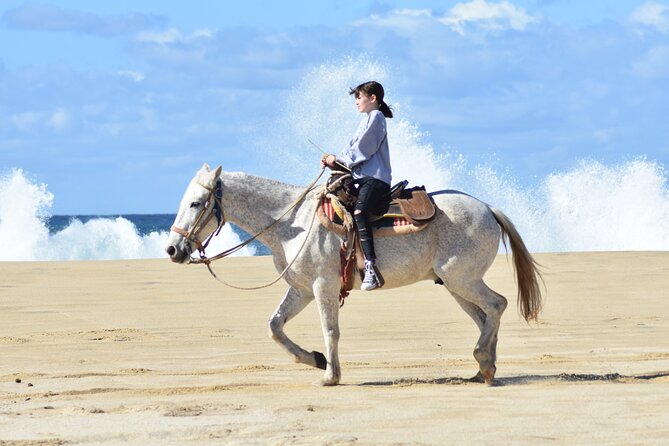 Combo Double Utv + Horses - Tour Reviews and Guides