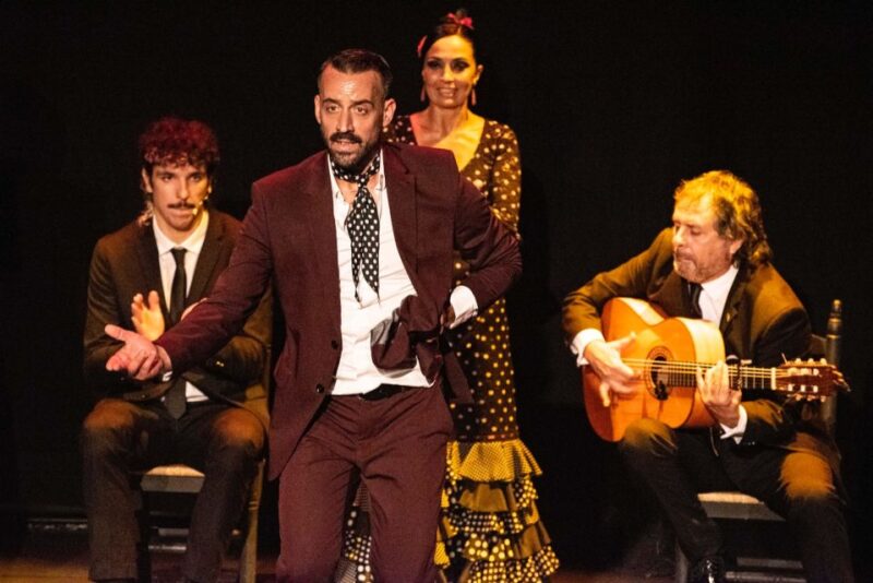Combo: Hop on hop off + Flamenco Show & Walking tours - Explore Sevilla’s Highlights with a 1-Day Combo Tour