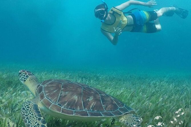 Combo Parasailing and Amazing snorkeling in Cancun - Key Points