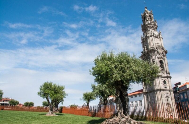 Combo: Porto City Half-Day Tour & Aveiro Half-Day Tour - Discover Porto’s UNESCO Heritage Sites