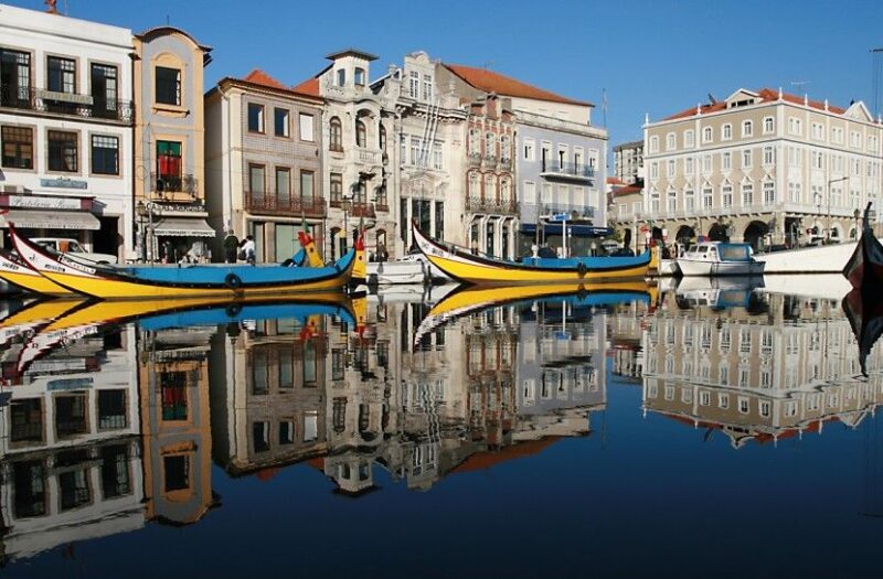 Combo: Porto City Half-Day Tour & Aveiro Half-Day Tour - Experience Port Wine Tasting at a Local Cellar