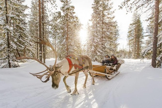 COMBO Private tour HUSKY and REINDEER Park by VIP car with guide - Key Points