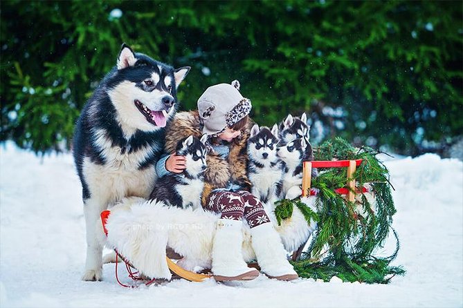 COMBO Private tour HUSKY and REINDEER Park by VIP car with guide - The Santa’s Village Stop and Its Significance