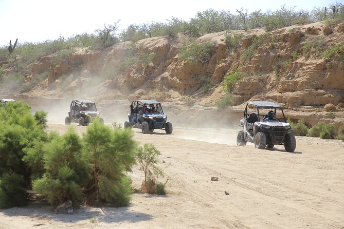 Combo Single Offroad 4x4 UTV, Camel Ride, Lunch & Tequila Tasting - Key Points