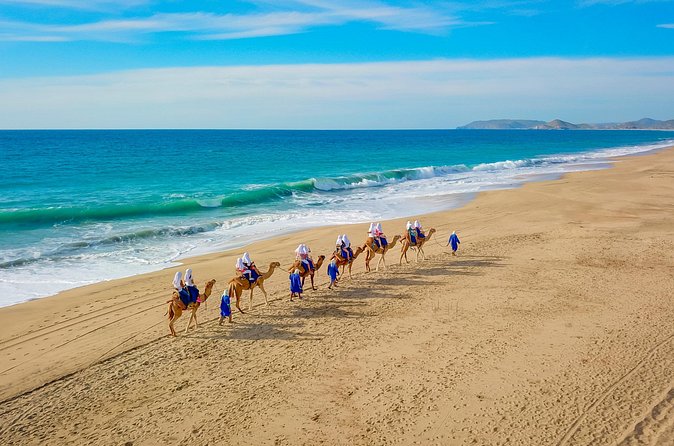 Combo Single Offroad 4x4 UTV, Camel Ride, Lunch & Tequila Tasting - What Sets This Tour Apart from Similar Adventures