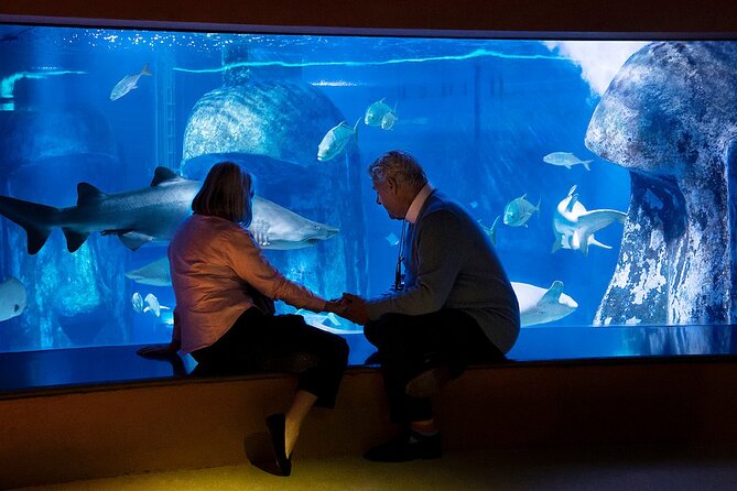 Combo Ticket: Madame Tussauds & SEA LIFE London Aquarium - Key Points