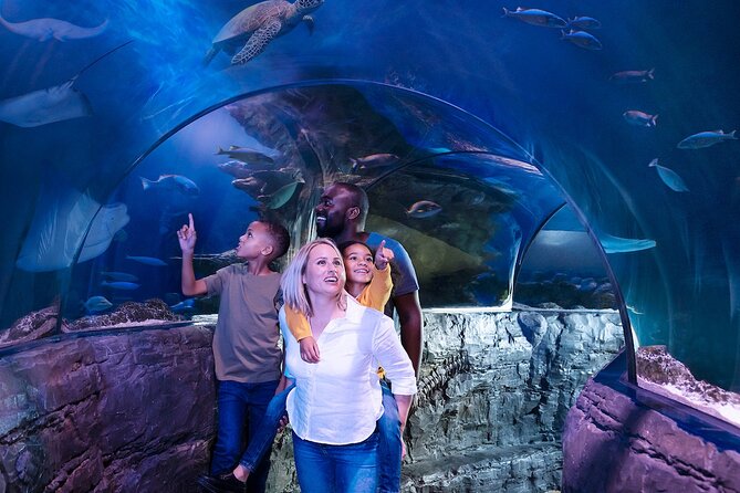 Combo Ticket: Madame Tussauds & SEA LIFE London Aquarium - Logistics and Accessibility