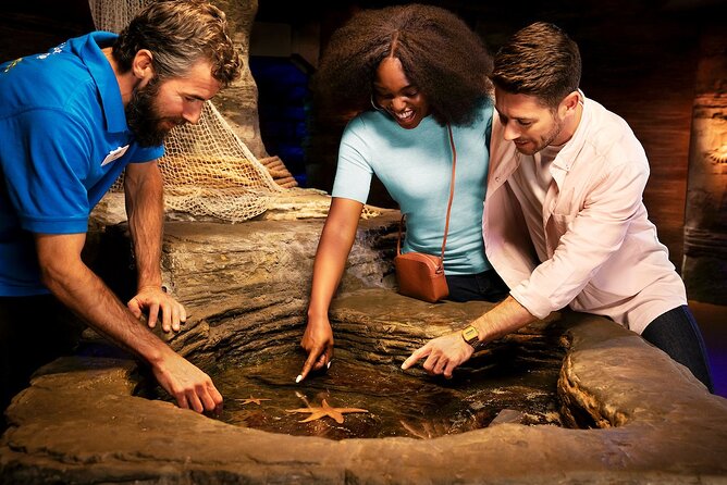 Combo Ticket: Madame Tussauds & SEA LIFE London Aquarium - Who Should Consider This Combo Ticket