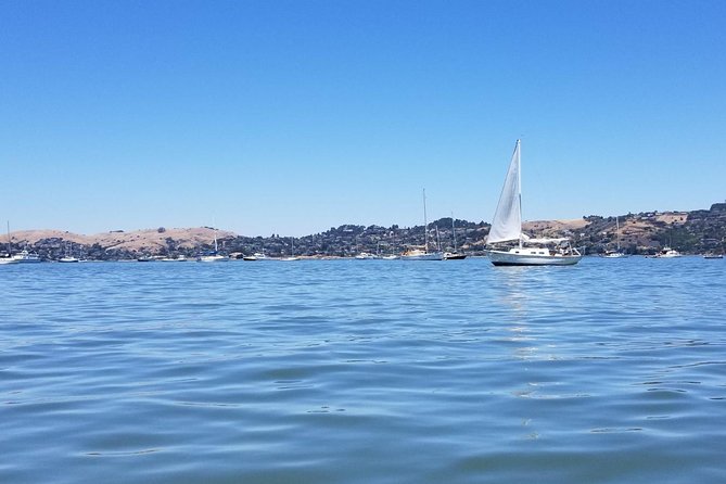 Combo Tour: Muir Woods, Sausalito and Sonoma Wine Country Tour - Scenic Drive to Sonoma Valley and Wineries