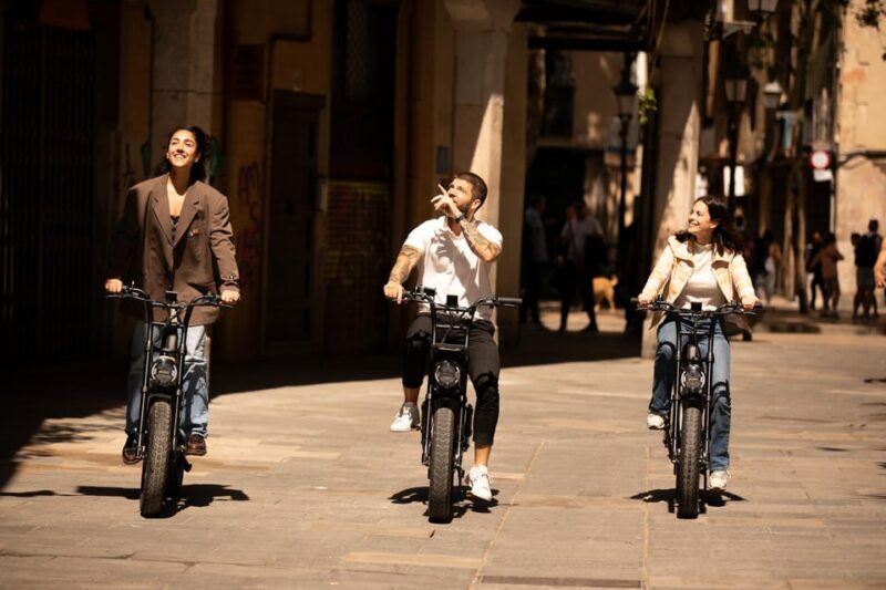 Comfortable E-Fatbike High-Lights Tour Barcelona - Key Points