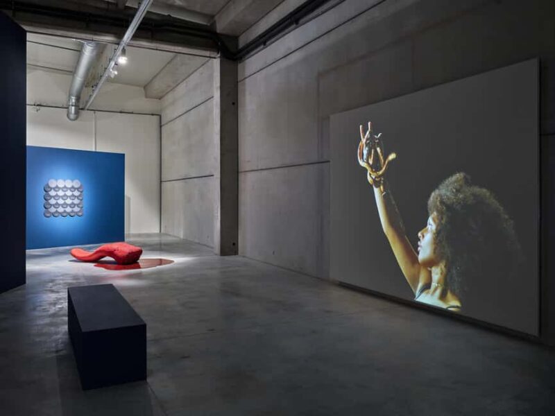 Commanderie de Peyrassol: Self-guided tour among art, vineyards, and forest - Peyrassol’s Unique Blend of Art, Nature, and Winemaking