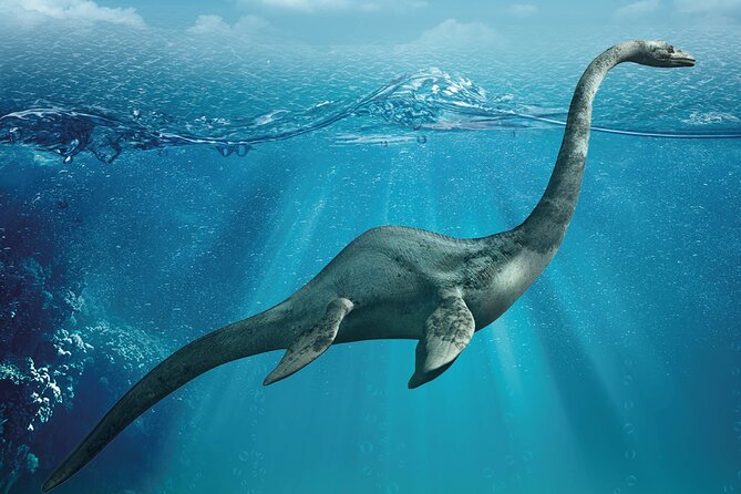 Como Walking Tour with Audio and Written Guide by a Local - Piazza San Fedele: From Roman Forum to Market Square