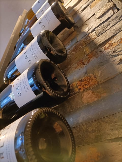 Como: Wine Tasting Experience with Cheese and Cold Cuts - Logistics: Meeting Point and Group Size