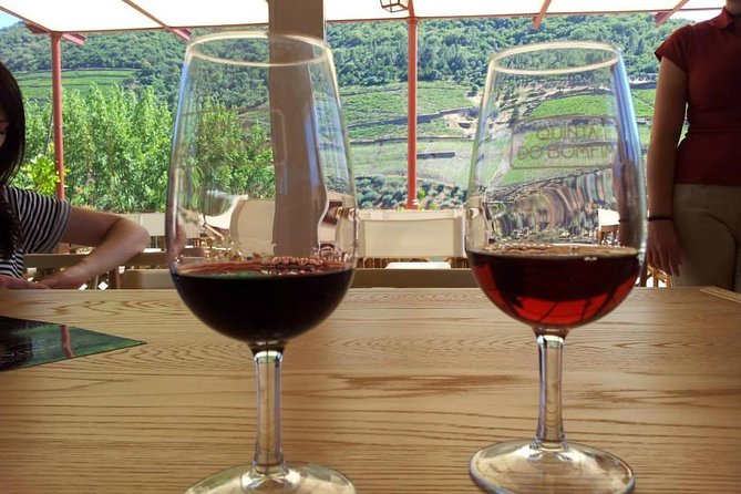 Complete Douro Valley Wine Tour with Lunch, Wine Tastings and River Cruise - Driving the iconic Estrada Nacional 222