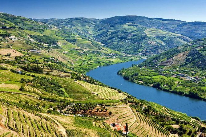 Complete Douro Valley Wine Tour with Lunch, Wine Tastings and River Cruise - Visiting Folgosa and its renowned winery