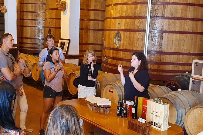 Complete Douro Valley Wine Tour with Lunch, Wine Tastings and River Cruise - Insider tips for the tour