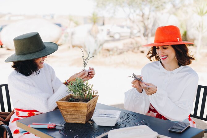 Complete Experience: Tasting, Tour and Gardens | Rondo del Valle - Strolling Through Lavender Fields and Gardens