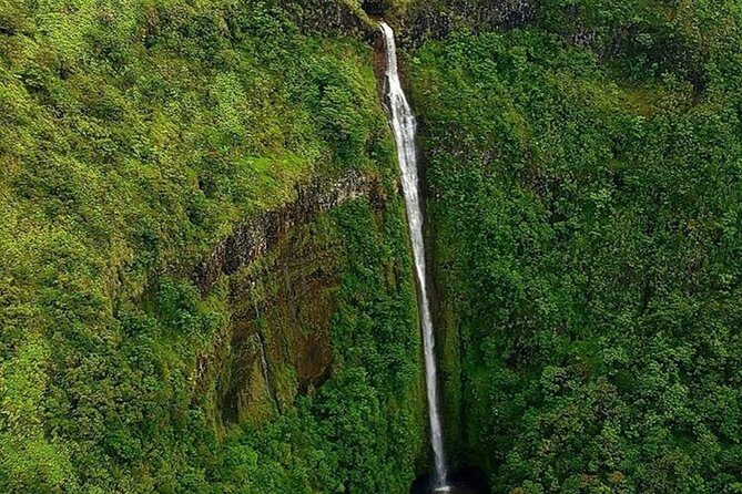 Complete Island 60-Minute Helicopter Tour - Customer Feedback: Strengths and Common Considerations